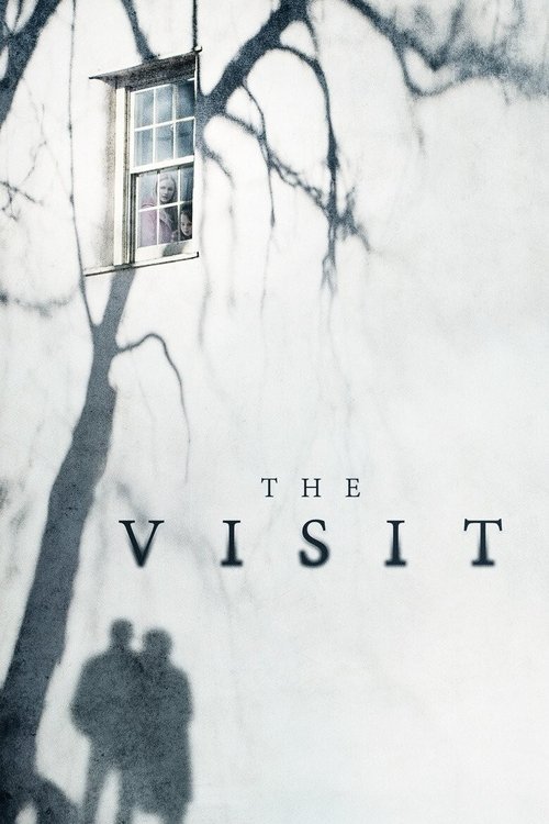 Poster de The Visit